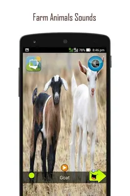 ANIMAL SOUNDS android App screenshot 10