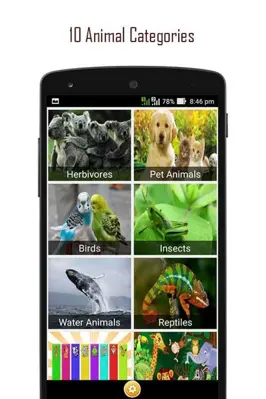 ANIMAL SOUNDS android App screenshot 11