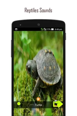 ANIMAL SOUNDS android App screenshot 1