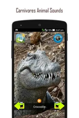 ANIMAL SOUNDS android App screenshot 3