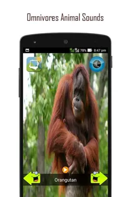 ANIMAL SOUNDS android App screenshot 5