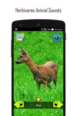 ANIMAL SOUNDS android App screenshot 6