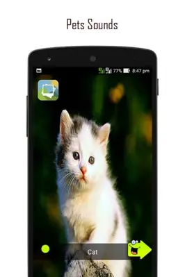 ANIMAL SOUNDS android App screenshot 7