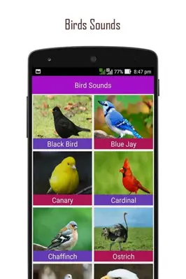 ANIMAL SOUNDS android App screenshot 8